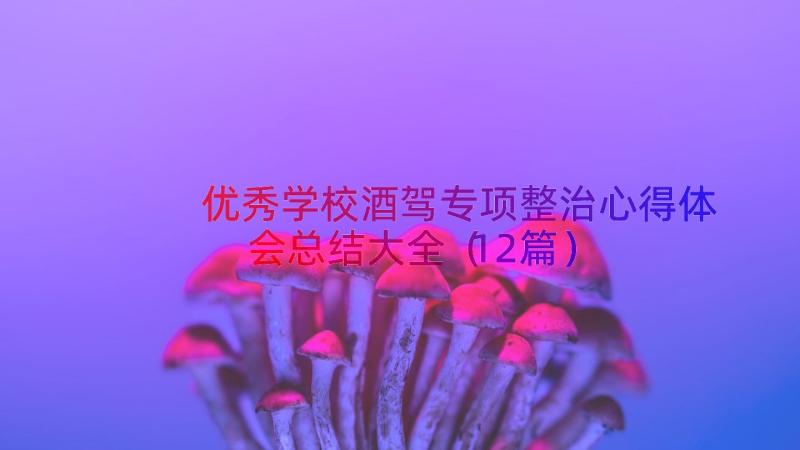 优秀学校酒驾专项整治心得体会总结大全（12篇）