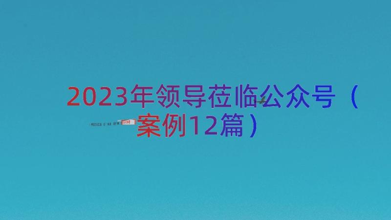 2023年领导莅临公众号（案例12篇）