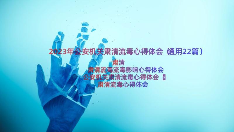 2023年公安机关肃清流毒心得体会（通用22篇）