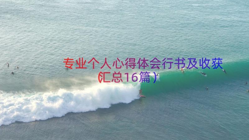 专业个人心得体会行书及收获（汇总16篇）