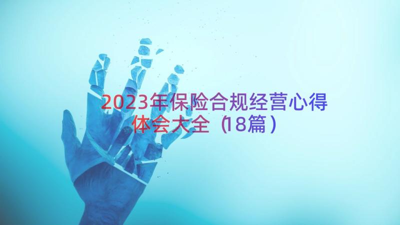 2023年保险合规经营心得体会大全（18篇）