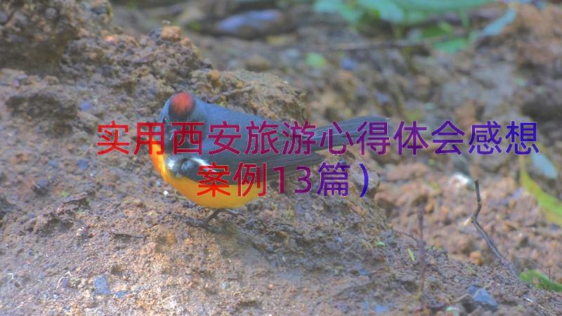 实用西安旅游心得体会感想（案例13篇）