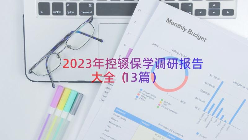 2023年控辍保学调研报告大全（13篇）