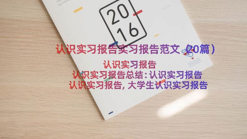 认识实习报告实习报告范文（20篇）