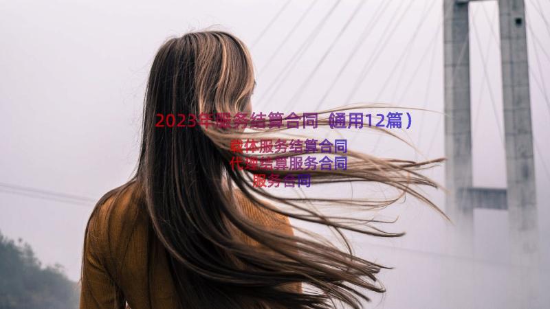 2023年服务结算合同（通用12篇）