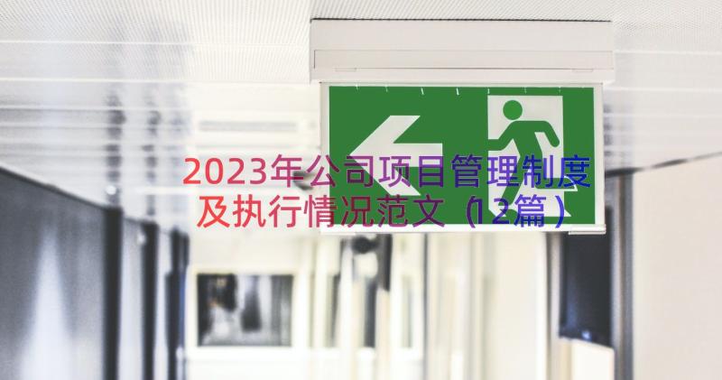 2023年公司项目管理制度及执行情况范文（12篇）