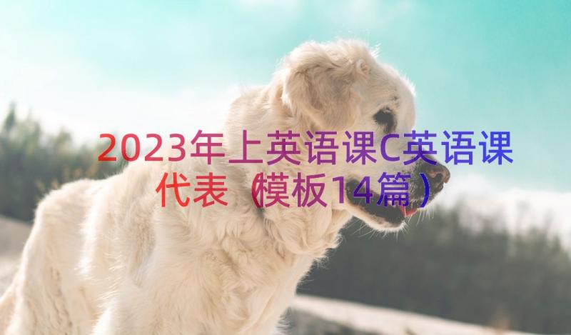 2023年上英语课C英语课代表（模板14篇）