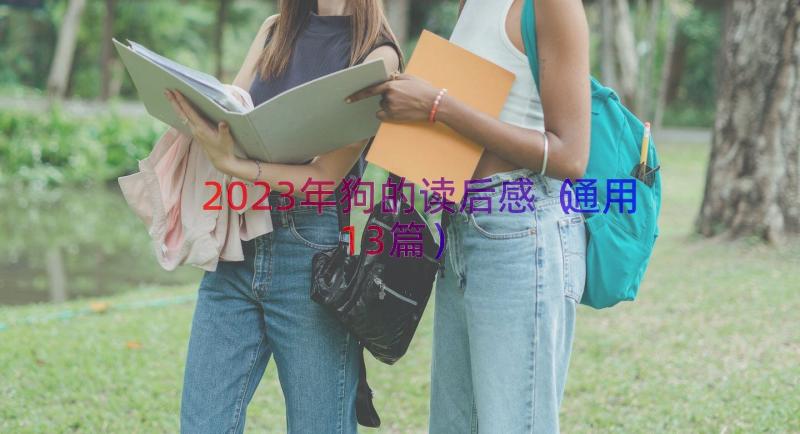 2023年狗的读后感（通用13篇）