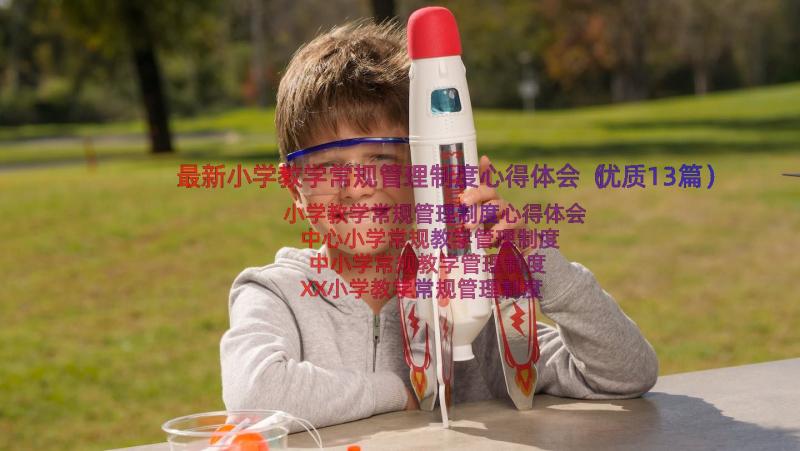 最新小学教学常规管理制度心得体会（优质13篇）