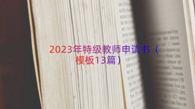 2023年特级教师申请书（模板13篇）