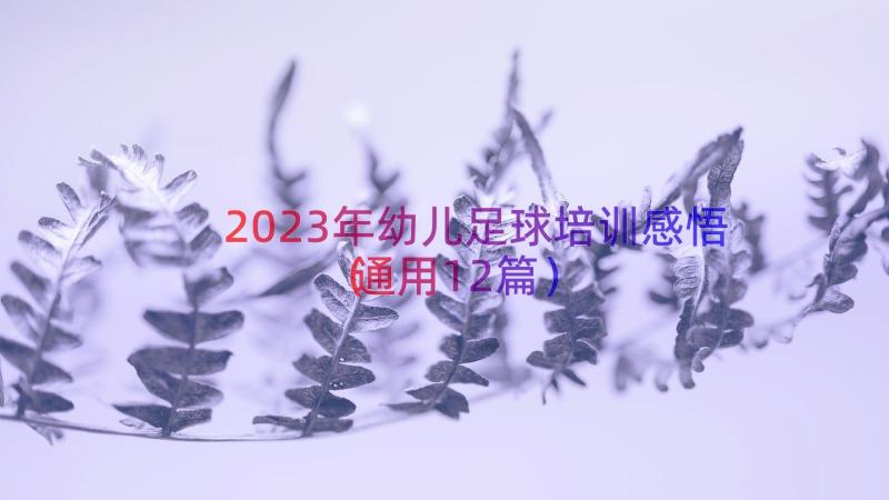 2023年幼儿足球培训感悟（通用12篇）