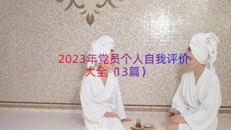 2023年党员个人自我评价大全（13篇）