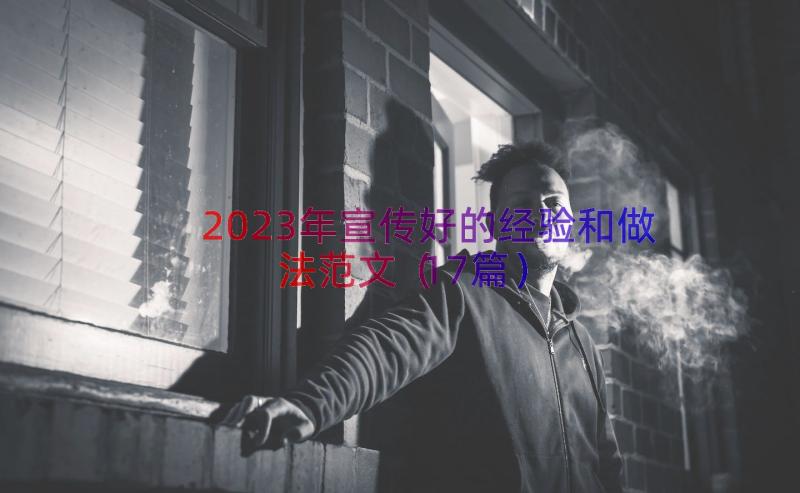 2023年宣传好的经验和做法范文（17篇）