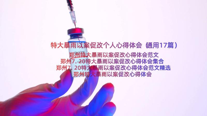 特大暴雨以案促改个人心得体会（通用17篇）