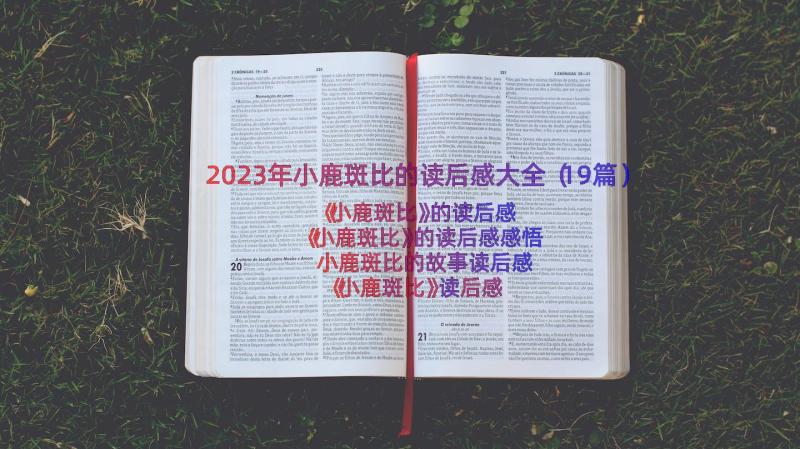 2023年小鹿斑比的读后感大全（19篇）