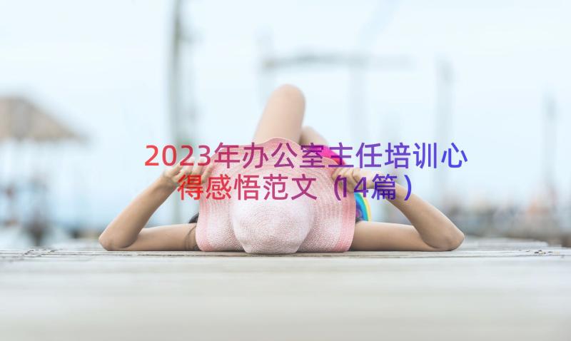 2023年办公室主任培训心得感悟范文（14篇）