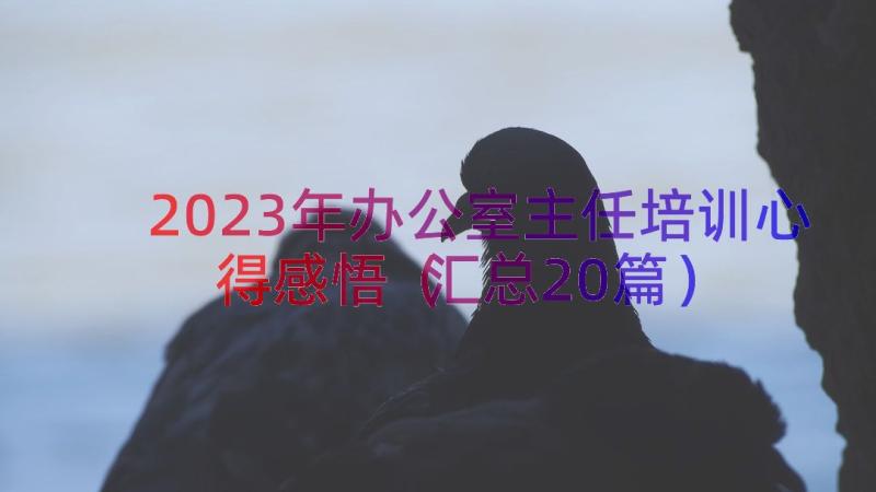 2023年办公室主任培训心得感悟（汇总20篇）