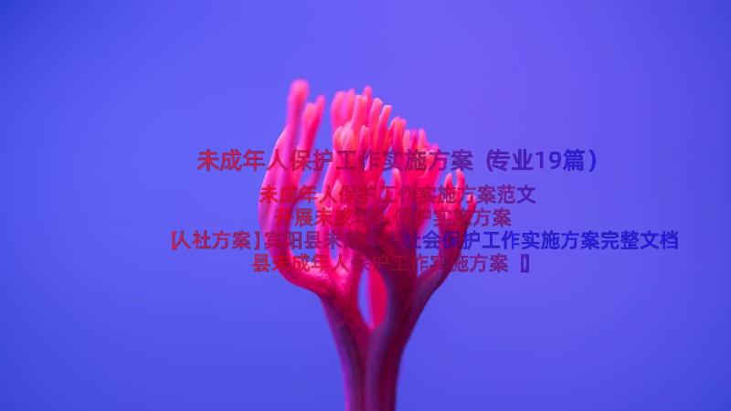 未成年人保护工作实施方案（专业19篇）