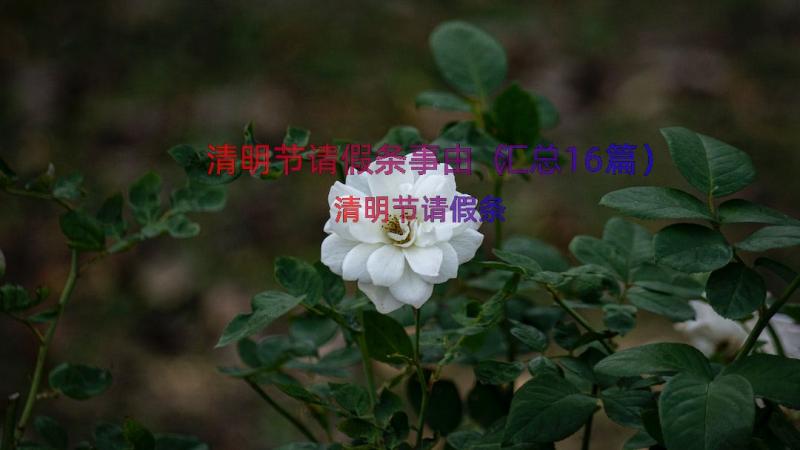 清明节请假条事由（汇总16篇）