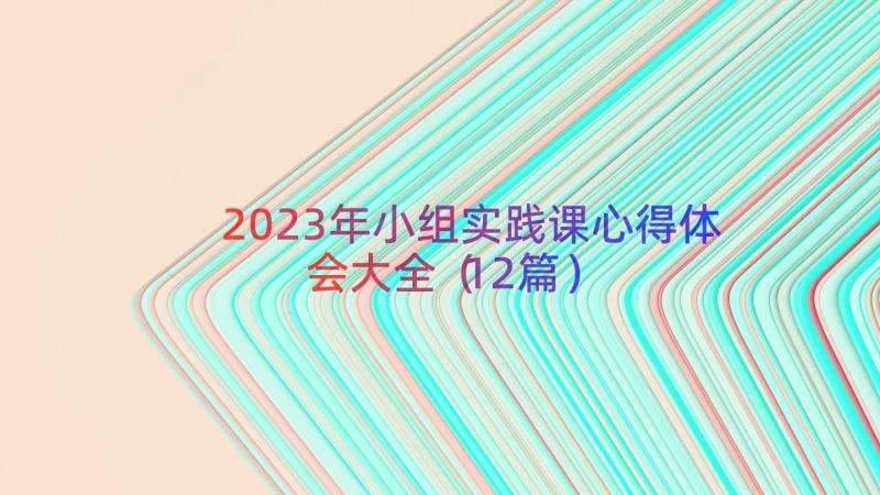 2023年小组实践课心得体会大全（12篇）