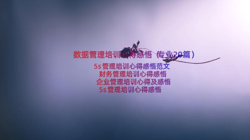 数据管理培训心得感悟（专业20篇）