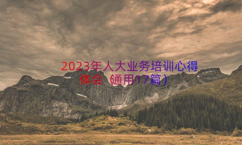 2023年人大业务培训心得体会（通用17篇）