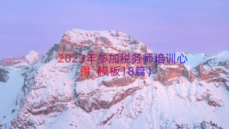 2023年参加税务师培训心得（模板18篇）