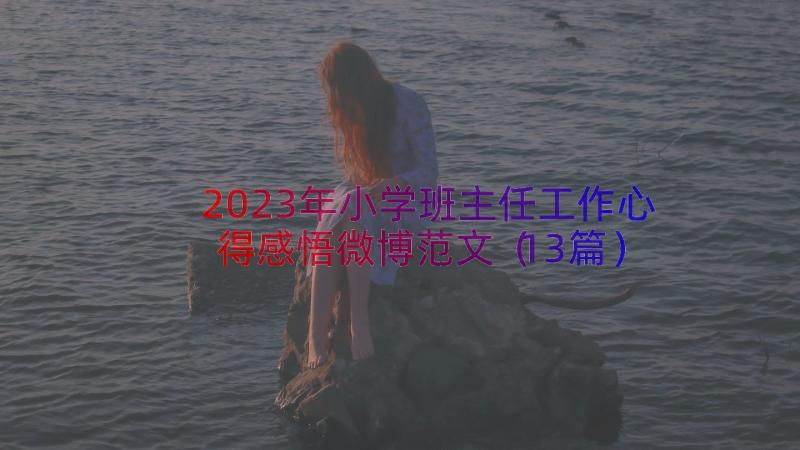 2023年小学班主任工作心得感悟微博范文（13篇）