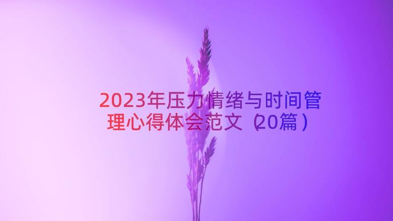 2023年压力情绪与时间管理心得体会范文（20篇）