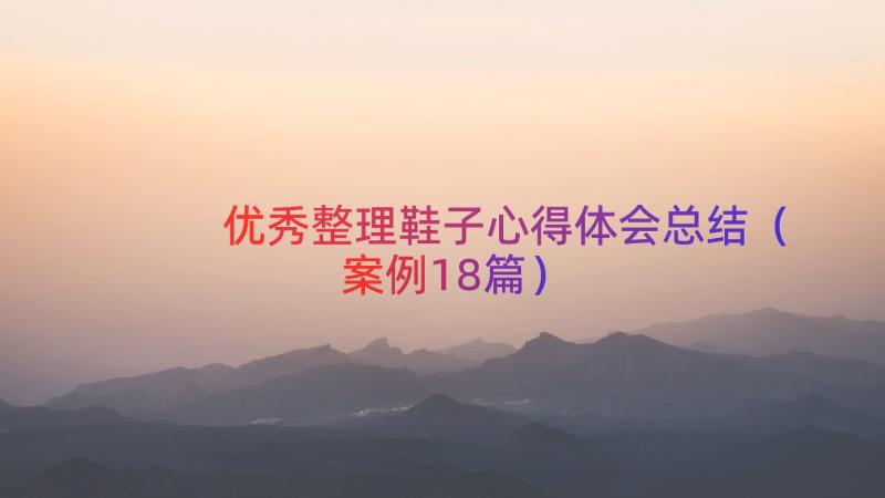 优秀整理鞋子心得体会总结（案例18篇）