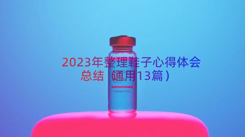 2023年整理鞋子心得体会总结（通用13篇）