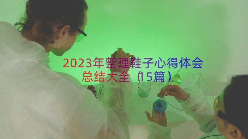 2023年整理鞋子心得体会总结大全（15篇）