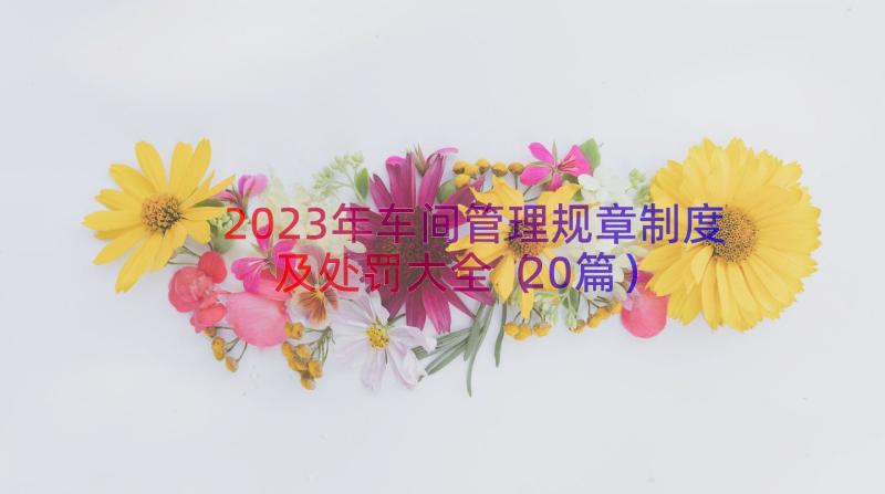 2023年车间管理规章制度及处罚大全（20篇）