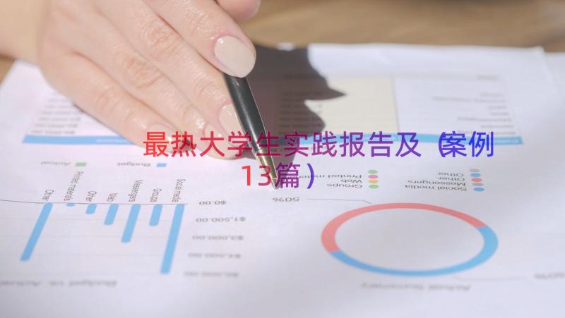 最热大学生实践报告及（案例13篇）