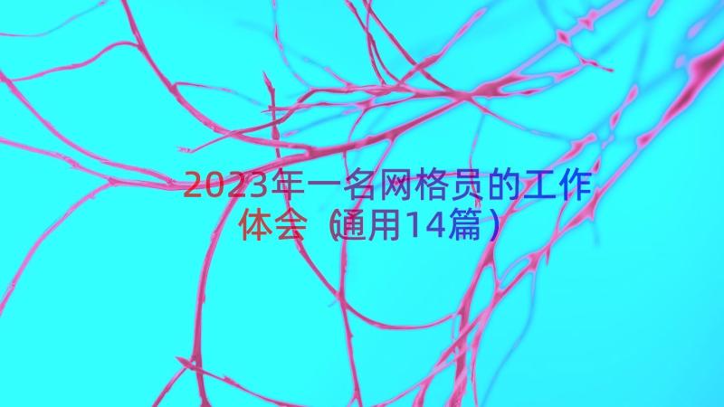 2023年一名网格员的工作体会（通用14篇）