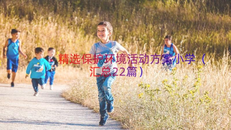 精选保护环境活动方案小学（汇总22篇）