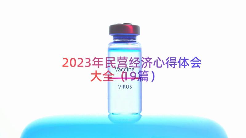 2023年民营经济心得体会大全（19篇）