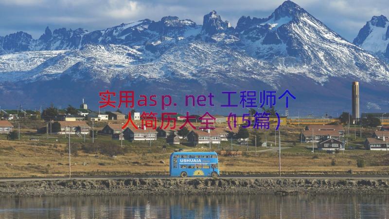 实用asp.net工程师个人简历大全（15篇）