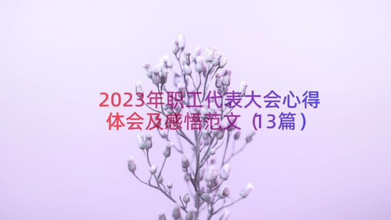 2023年职工代表大会心得体会及感悟范文（13篇）