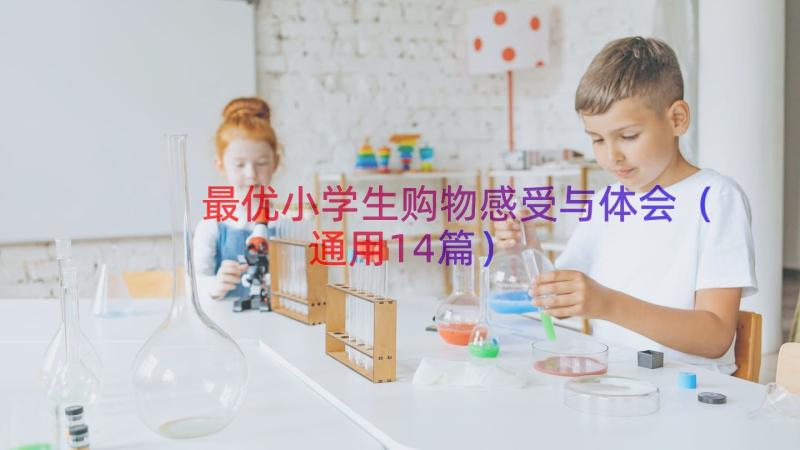 最优小学生购物感受与体会（通用14篇）