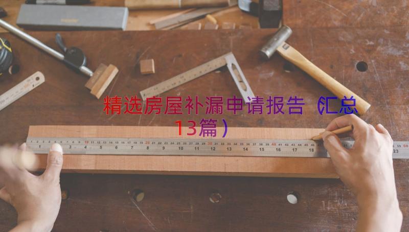 精选房屋补漏申请报告（汇总13篇）