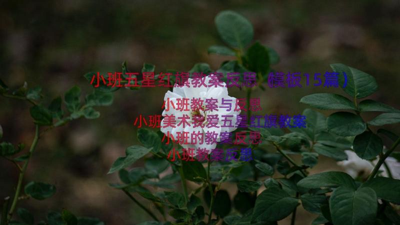 小班五星红旗教案反思（模板15篇）