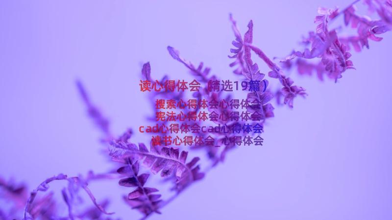 读心得体会（精选19篇）