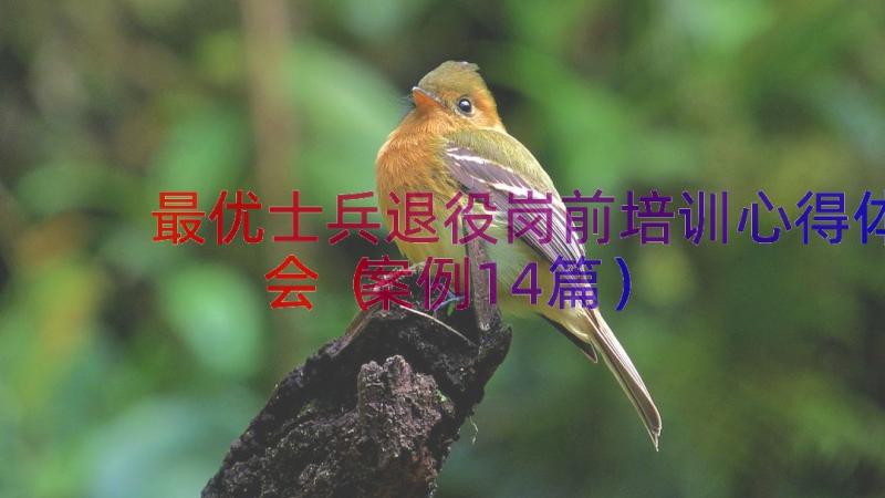 最优士兵退役岗前培训心得体会（案例14篇）