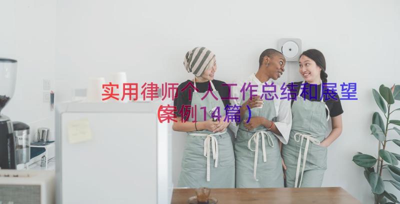 实用律师个人工作总结和展望（案例14篇）