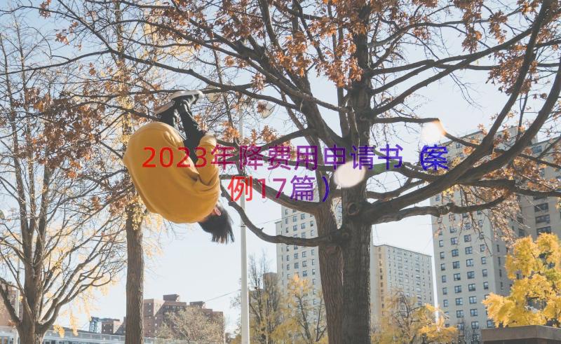 2023年降费用申请书（案例17篇）