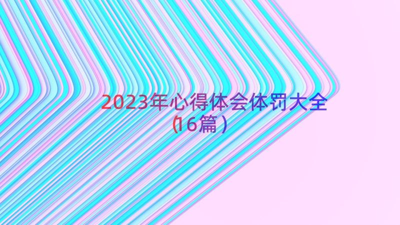 2023年心得体会体罚大全（16篇）