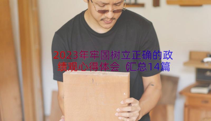 2023年牢固树立正确的政绩观心得体会（汇总14篇）