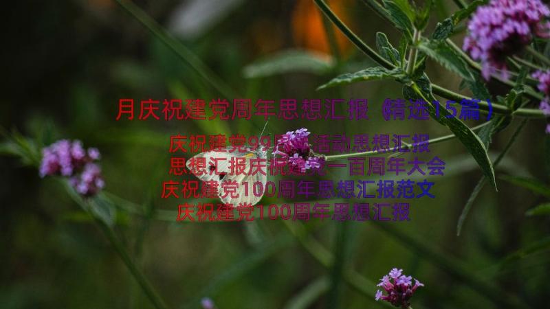 月庆祝建党周年思想汇报（精选15篇）