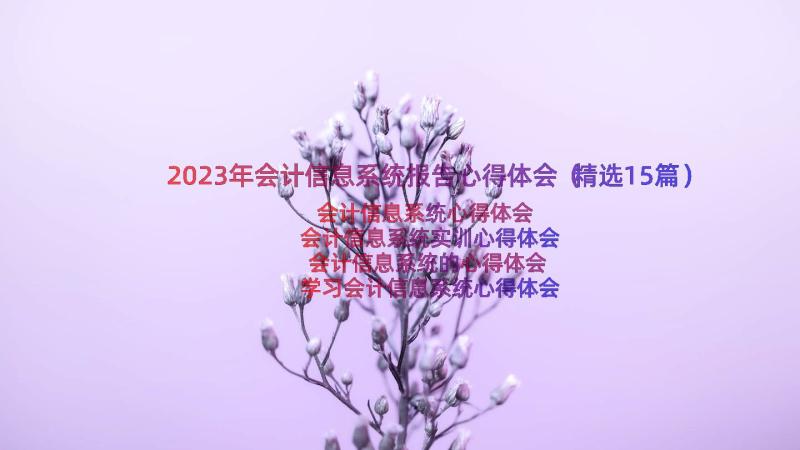 2023年会计信息系统报告心得体会（精选15篇）